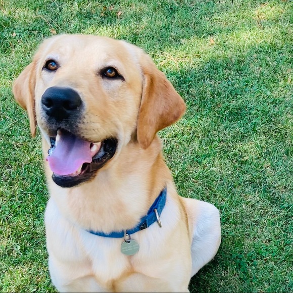 Meet your Posher, Davene - Picture 1 of 1